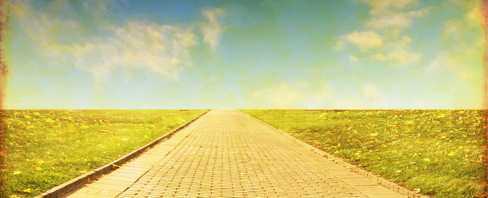 Effective Use of Technologies in Student Advising: Is There a Yellow Brick Road?