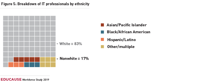 Graph showing the breakdown of IT professionals by ethnicity. White = 83% Nonwhite = 17% (made up of 5% Asian/Pacific Islander, 3% Black/African American, 3% Hispanic/Latino and 6% Other/multiple)